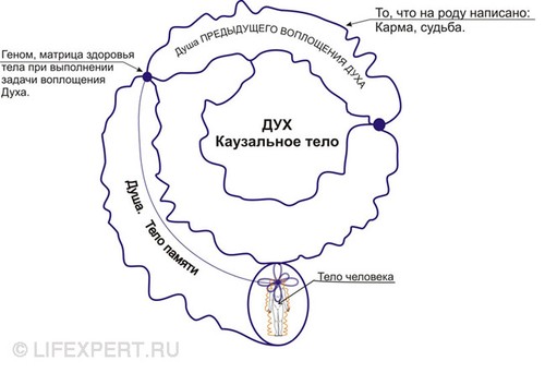 инфосоматика губанов видео скачать